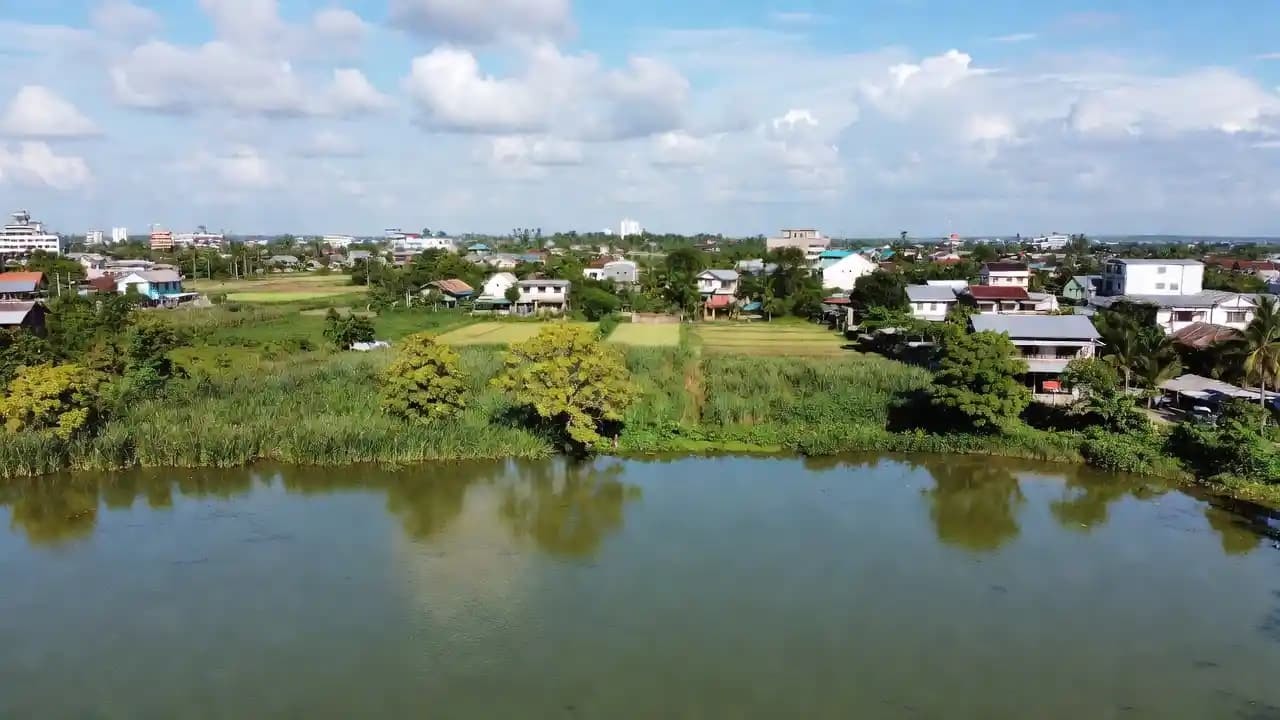 Can Gio Mangrove Forest Day Trip