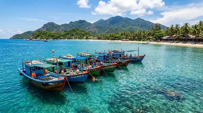 Cham Islands Day Trip
