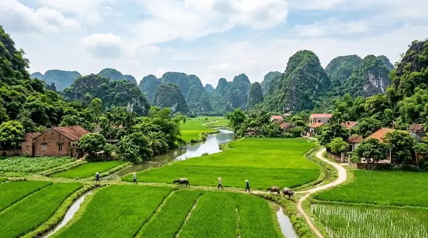 Ninh Binh Day Trip